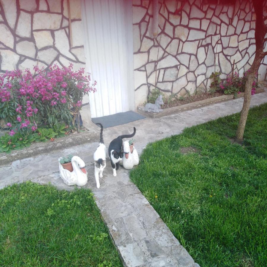 Janina Hisa Apartment Stolac ภายนอก รูปภาพ